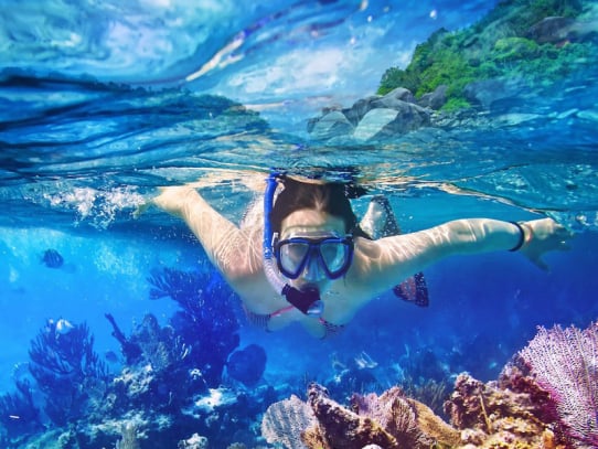 Snorkeling Excusions in Punta Cana Dominican Republic
