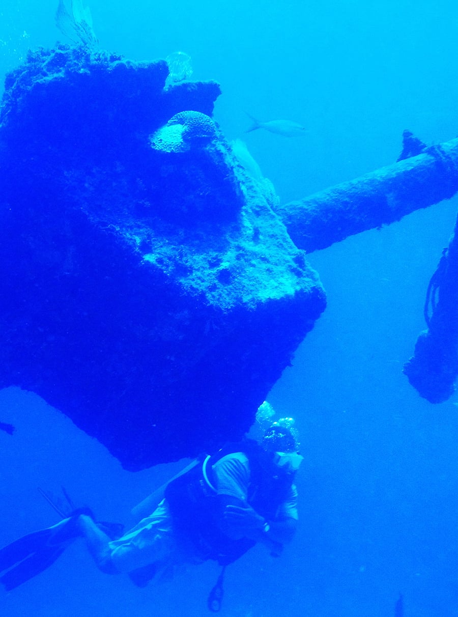 Local Diving in Bayahibe Dominican Republic