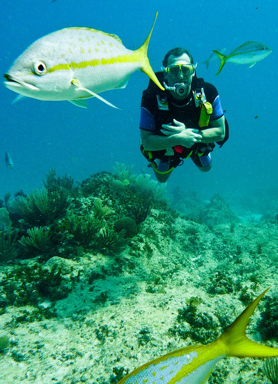 Discovery Scuba Diving Training Course in Bavaro, Punta Cana.