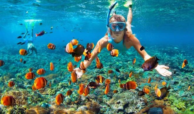 Snorkeling and Diving Excursion from Bavaro and Punta Cana hotels to Saona Island